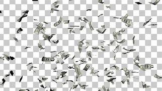 Image result for Animated Raining Money