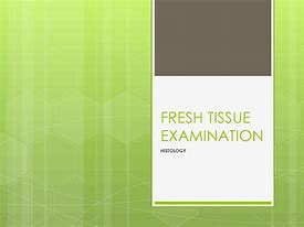 Image result for Histology Fresh Tissue