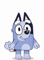 Image result for Bluey Socks Plush