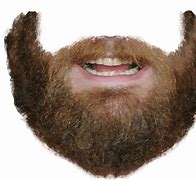 Image result for Beard