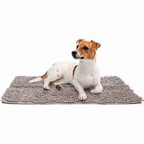 Image result for Dog Paw Cleaning Mat