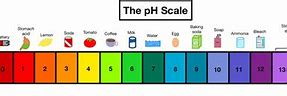 Image result for Sulfuric Acid pH Scale