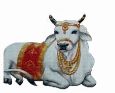 Image result for Nandi PNG