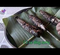 Image result for Cá Lóc Bằng Đồng