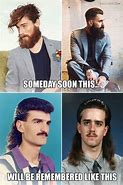 Image result for Mullet Memed