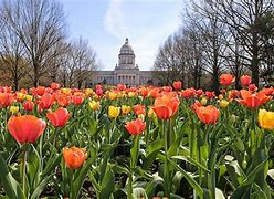 Image result for KY Finance Cabinet