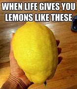 Image result for When Lemon Meme