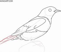 Image result for Basic Bird Drawing