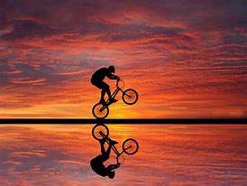 Image result for Cool BMX Bikes