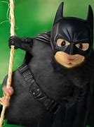 Image result for Bat the Rat