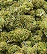 Image result for Ganja Drug