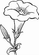 Image result for Flower Clip Art Black and White Butterfly