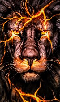 Image result for Angry Lion in the Dark Wallpaper