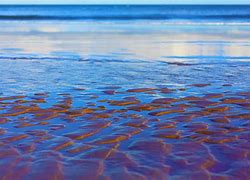 Image result for Ocean Floor Texture