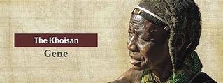 Image result for ancient khoisan dna