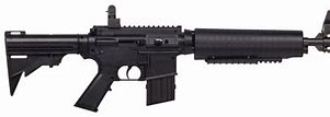 Image result for 417 Assault Rifle