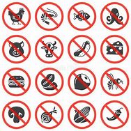 Image result for No Nuts Warning Sign