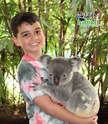 Image result for The Koala Hug