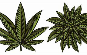 Image result for Weed Cursor