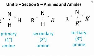 Image result for Amine Draw