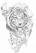 Image result for Tiger Tattoo Drawings and Sketches