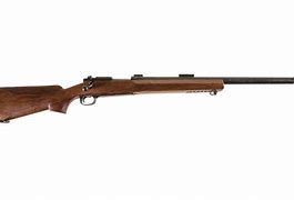 Image result for Palma Match Rifle