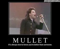 Image result for Funny Mullet Quotes