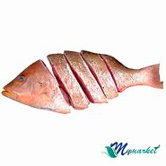 Image result for Ikan Merah Maluku