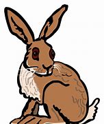 Image result for Free Resizable Clip Art Hare