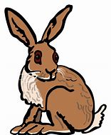 Image result for Disinterested Hare Clip Art