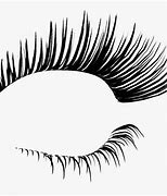 Image result for Eyelash Drawing Side View