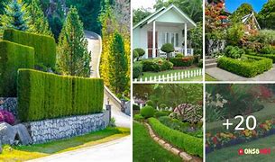 Image result for Landscaping with Boxwood Shrubs