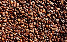 Image result for Plants That Love Coffee Grounds