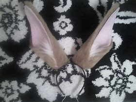 Image result for Hare Ears