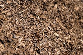 Image result for Mulch Pics