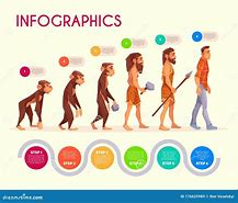 Image result for Anthropology Human Evolution