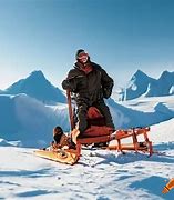 Image result for A Cat Go Skiing