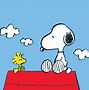 Image result for Snoopy Buzzard