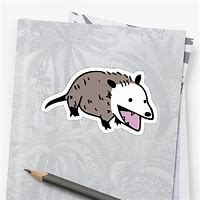 Image result for Possum Doodle