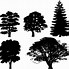 Image result for Simple Tree Outline