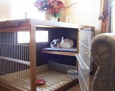 Image result for Indoor Bunny House