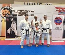 Image result for China Karate