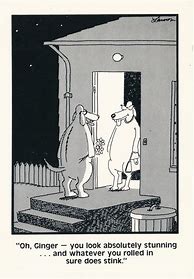 Image result for Far Side Cartoon Ginger