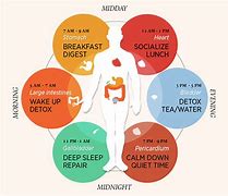 Image result for Qi Organ Cleanse Clock Cycle