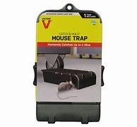 Image result for Baiting Victor Mouse Trap