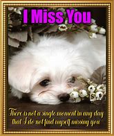 Image result for Cute Miss You Cards