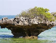 Image result for Chale Island Kenya