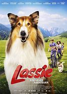 Image result for Poor Lassie