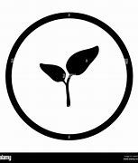 Image result for Plant Circle