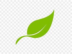 Image result for Leaf Logo HD